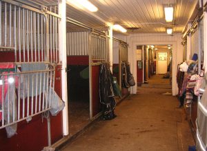 1280px-balingsta_gard_hastbox_2011
